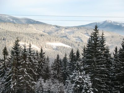 Obrázek 102921 