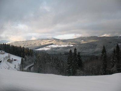Obrázek 102929 