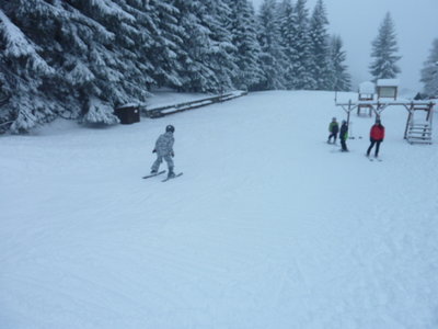 Obrázek 102771 