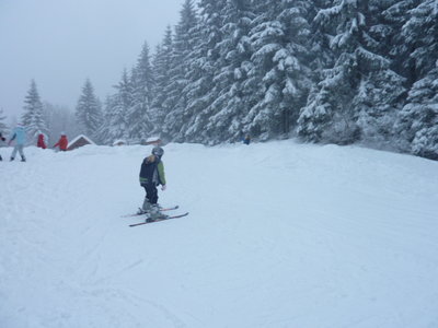 Obrázek 102800 