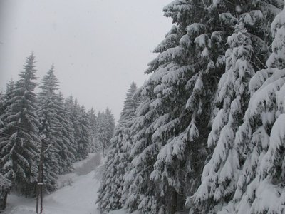 lyžák 6. den-pátek 11.1.