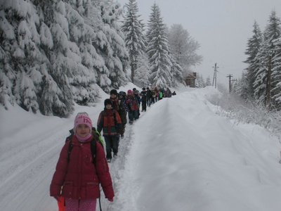 Obrázek 102731 