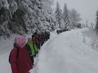 Obrázek 102732 