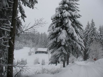 Obrázek 102734 