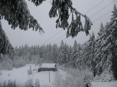 Obrázek 102735 