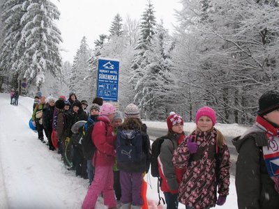 Obrázek 102736 