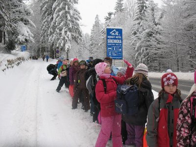 Obrázek 102737 