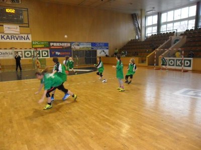 Obrázek 101417 