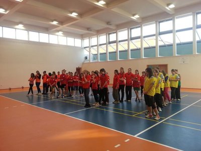 Obrázek 101254 