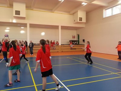 Obrázek 101262 