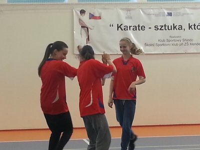 Obrázek 101265 