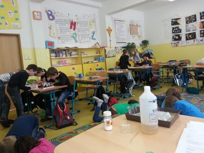 Obrázek 101148 