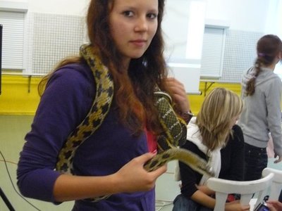 Prezentace absolventských prací deváťáků