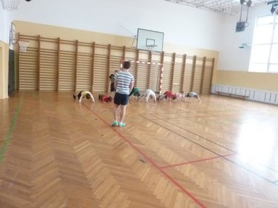 Obrázek 100905 