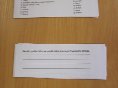 Obrázek 100787 