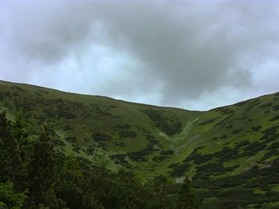 Obrázek 115247 