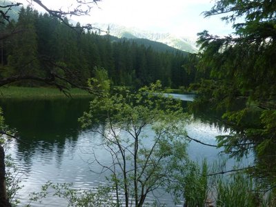 Obrázek 115251 
