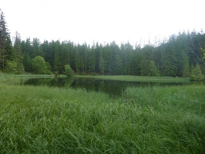 Obrázek 115252 