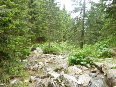 Obrázek 115255 