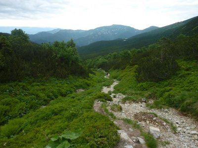 Obrázek 115259 