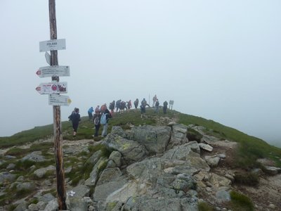 Obrázek 115263 