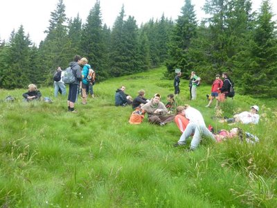 Obrázek 115264 