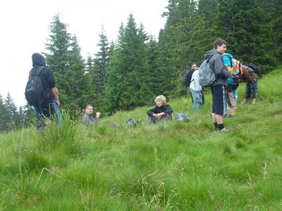 Obrázek 115265 