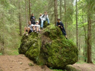 Obrázek 115266 