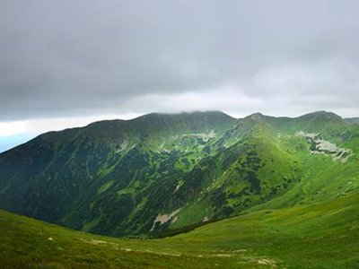 Obrázek 115280 