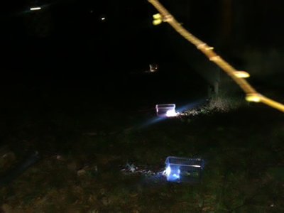 Obrázek 100494 Ztemnělým lesem jsmeměli pronést lísteček pro svou družinu do osvětlené krabičky. V lese číhali policajti - naši vedoucí a paní učitelky. Kdo nešel tiše, ale utíkal, musel lístek odevzdat. Někteří z nás však měli promyšlené strategie, jak splynout se stromy a okolní přírodou a lísteček pro svůj tým pronesli. Sláva jim! Každopádně jsme všichni zvítezili nad obavali a naučili se pohybovat v lese jen za svitu skoro úplňkového měsíce. Zážitek!