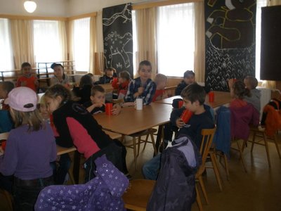 Obrázek 100475 