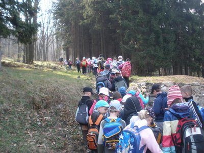 Obrázek 100452 