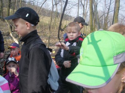 Obrázek 100457 