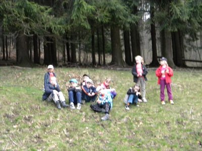 Obrázek 100597 