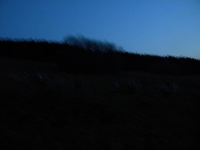 Obrázek 100605 