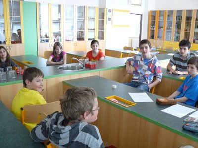 Obrázek 100216 