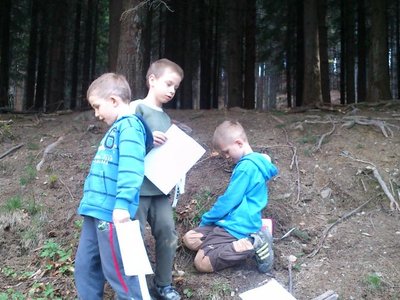 Obrázek 100379 