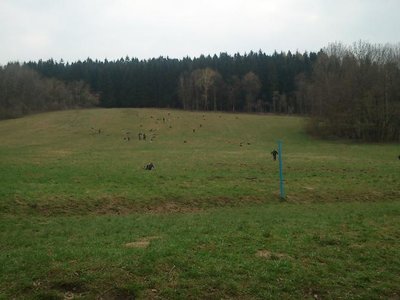 Obrázek 100346 