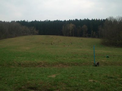 Obrázek 100347 
