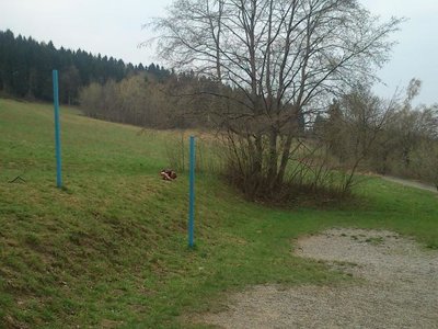 Obrázek 100348 