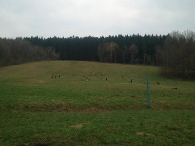 Obrázek 100349 