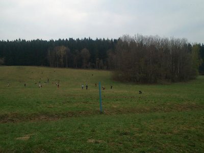 Obrázek 100351 