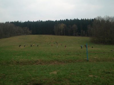 Obrázek 100352 