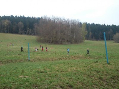 Obrázek 100353 
