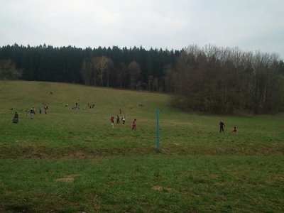 Obrázek 100354 