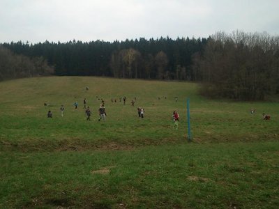 Obrázek 100355 