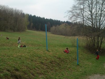 Obrázek 100356 