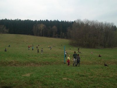 Obrázek 100358 