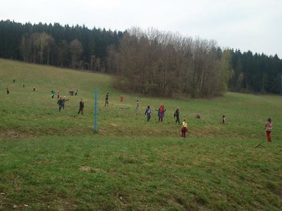 Obrázek 100361 