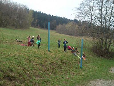 Obrázek 100364 